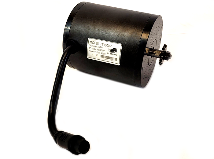 Brushless 1600W Motor | TT1600R