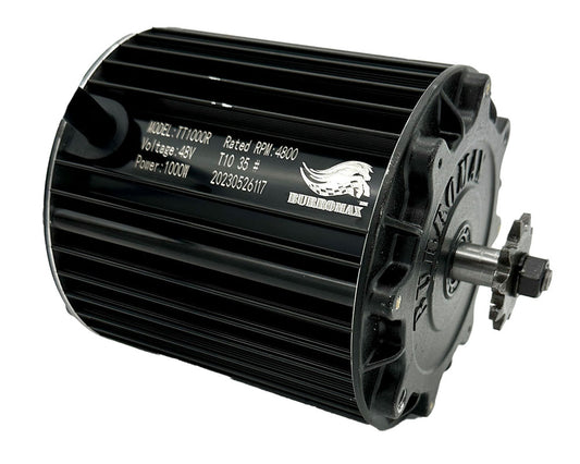 Brushless 1000W Motor | TT1000R
