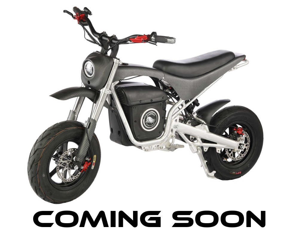 Burromax | XRB Electric Bike